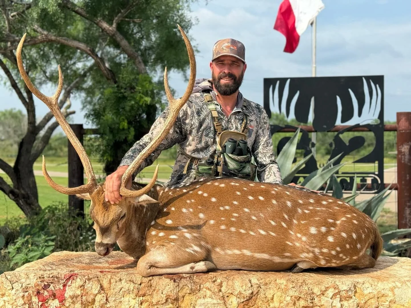 Axis Buck Texas G2 Ranch Hunting Hunt Deer Exotic Exotics.JPG