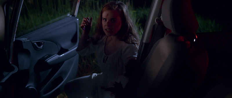 A girl with long hair sitting in a car at night, looking into an open car door, with tall grass visible outside.