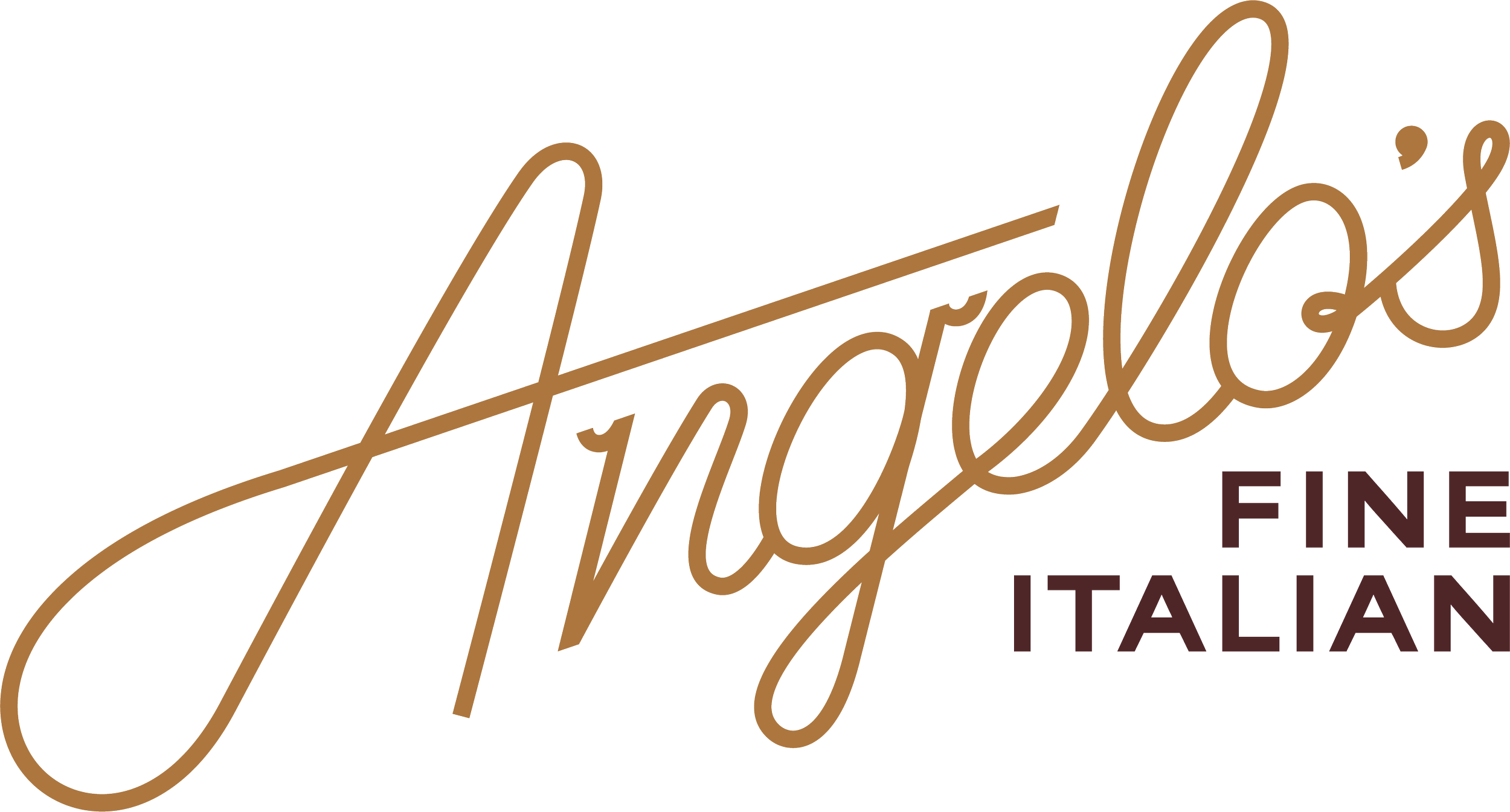 Logo for Ferroluxe Fine Italian, featuring elegant cursive script in brown and red text.