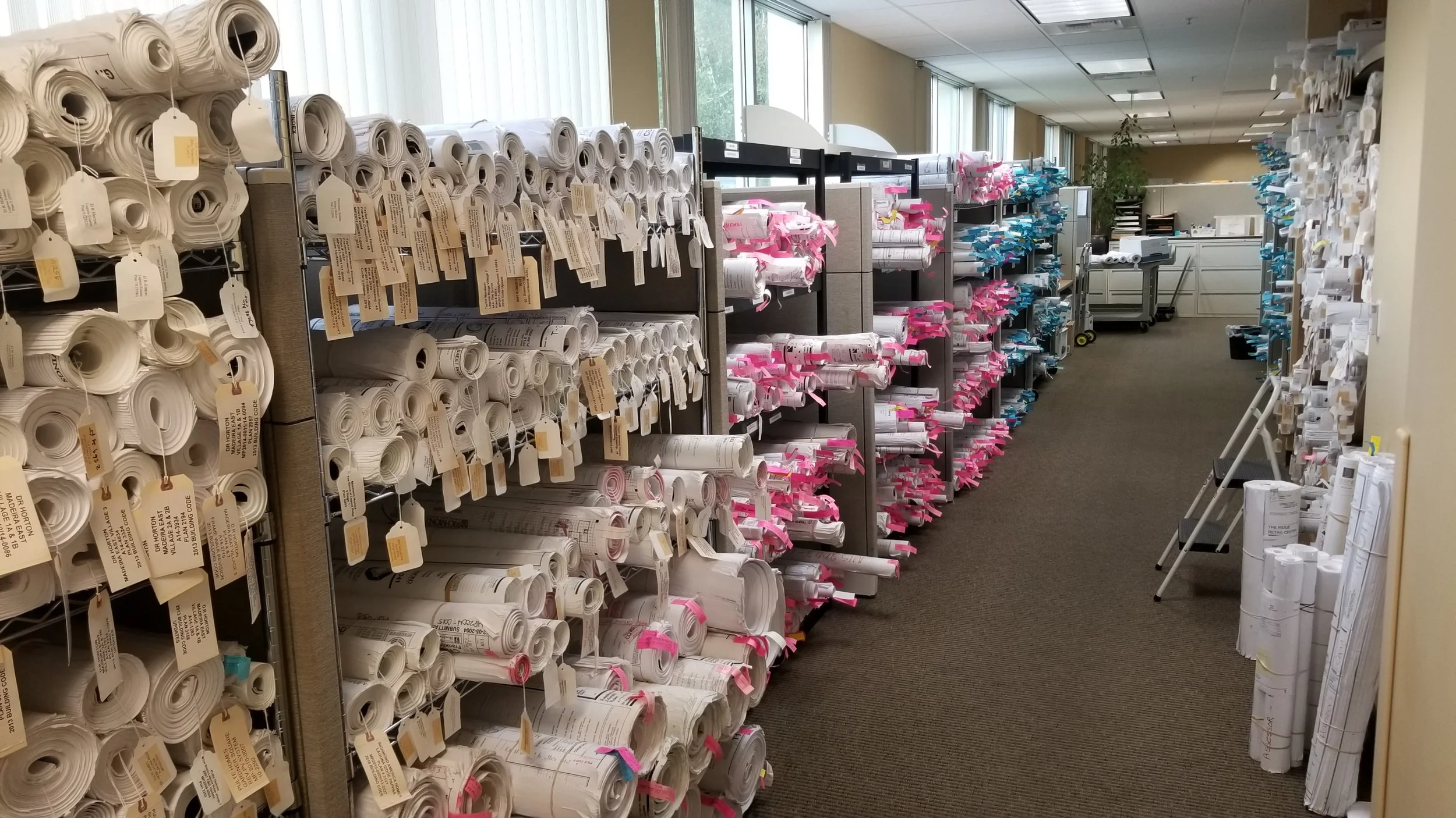 Shelves filled with rolled-up architectural plans and blueprints, organized with pink and blue tags, in an office environment with large windows.