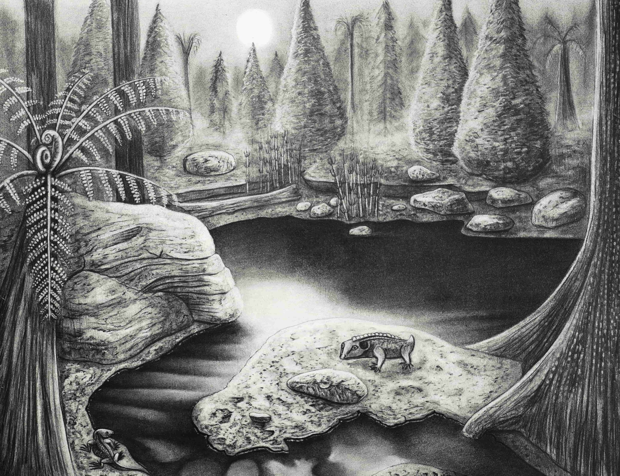 Early Permian Wetlands
24"x20"
Graphite on paper
2024