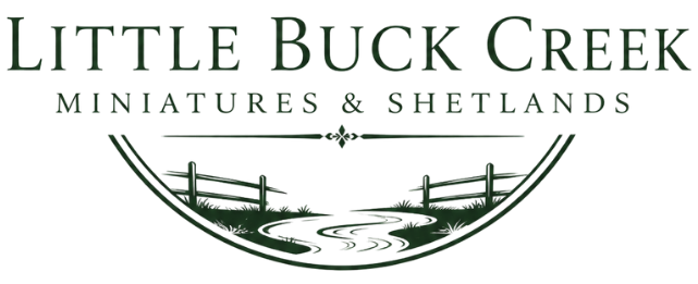 Little Buck Creek Miniatures &amp; Shetlands