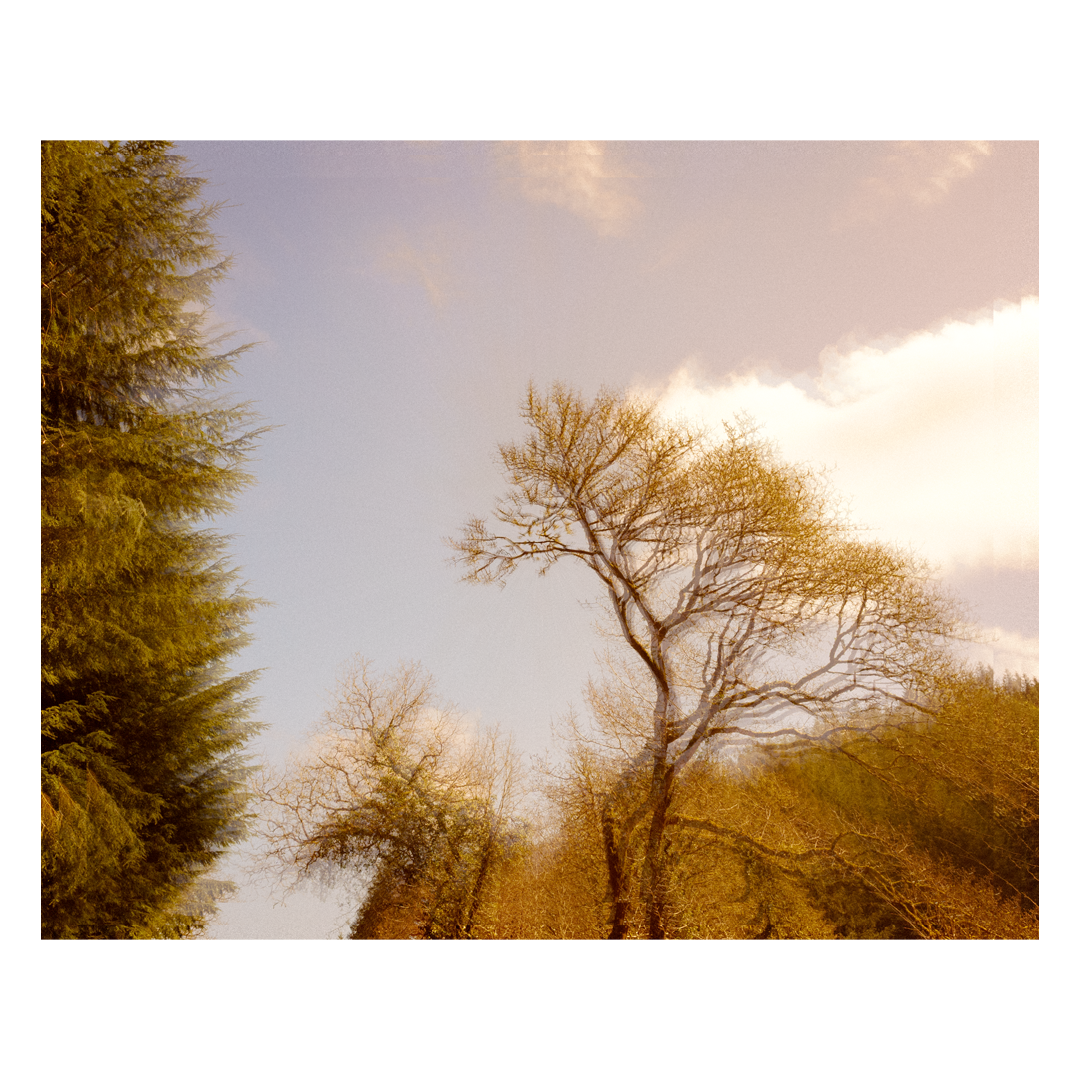Untitled-10.png