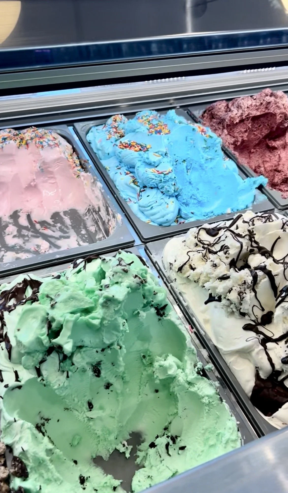 IMG_4865.jpg