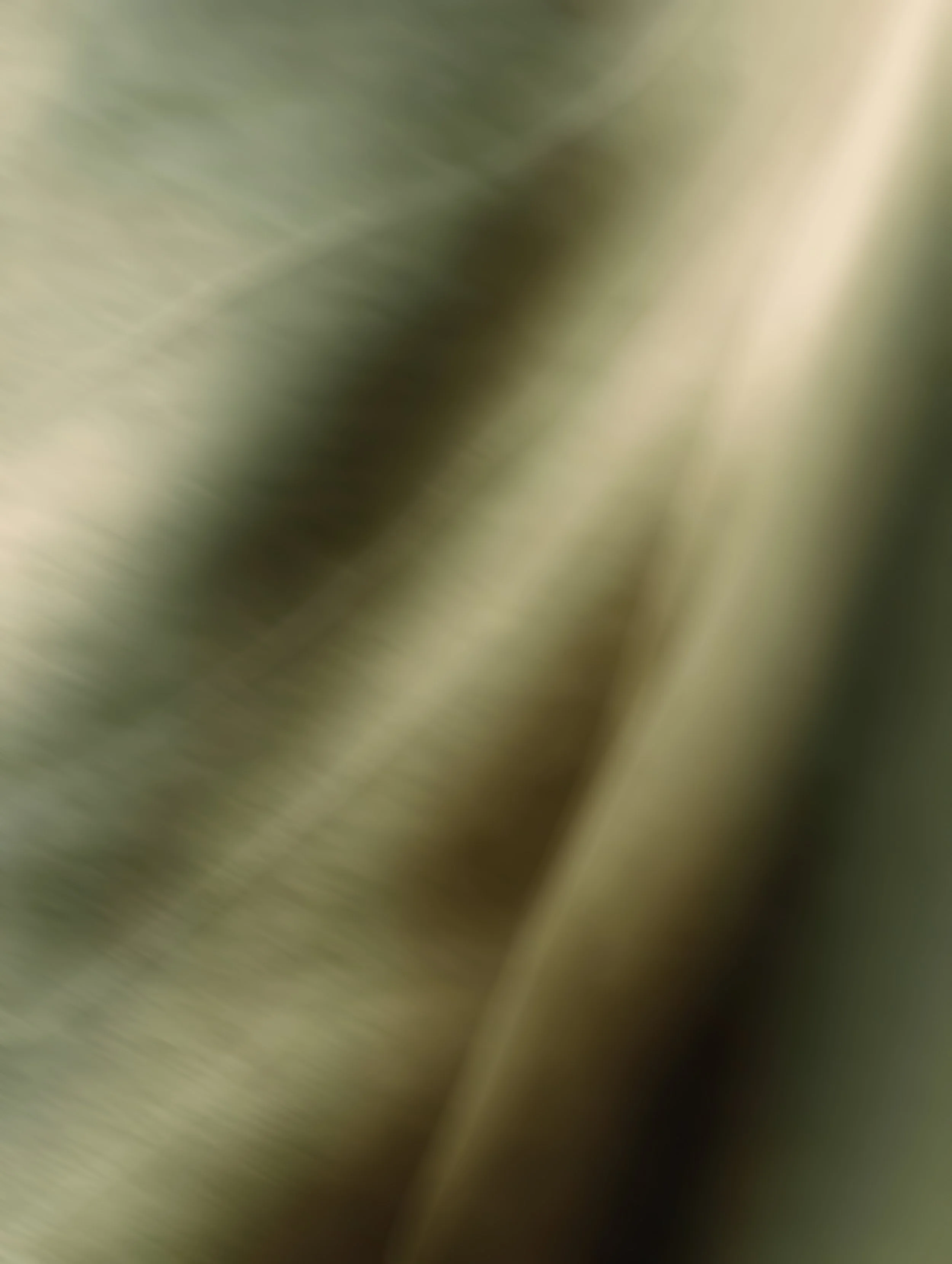Blurred image with shades of green, tan, and brown, no distinct objects visible.