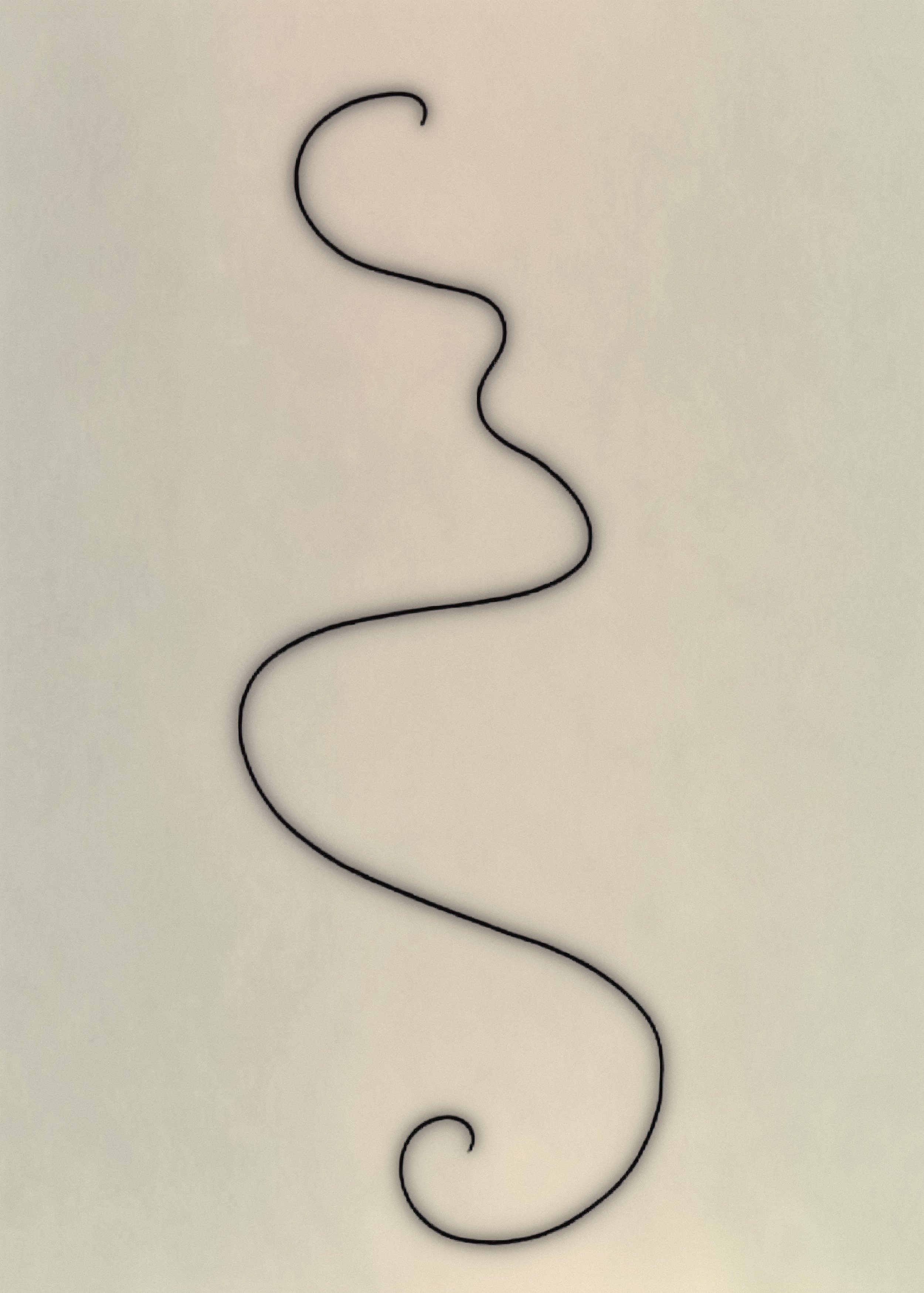 A black, squiggly line on a plain white background, resembling a loose or abstract shape.