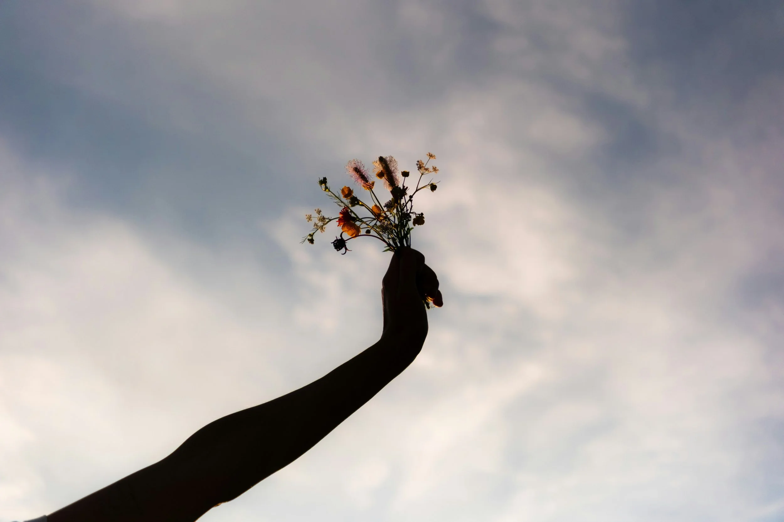 Person holding a bouquet of flowers silhouetted against a cloudy sky.