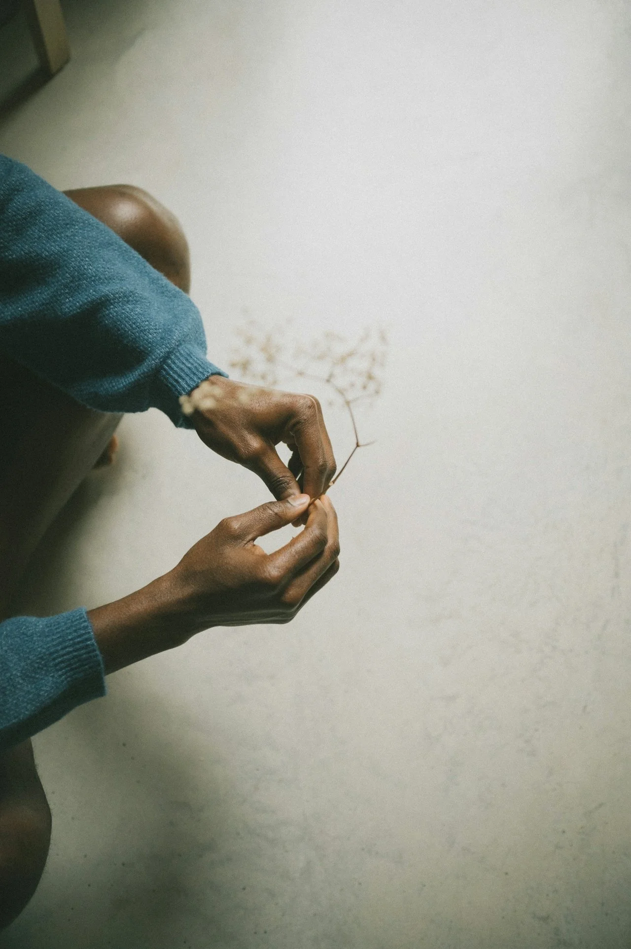 Hands holding a small flower with thin petals, with a person wearing a teal long sleeve shirt sitting nearby.