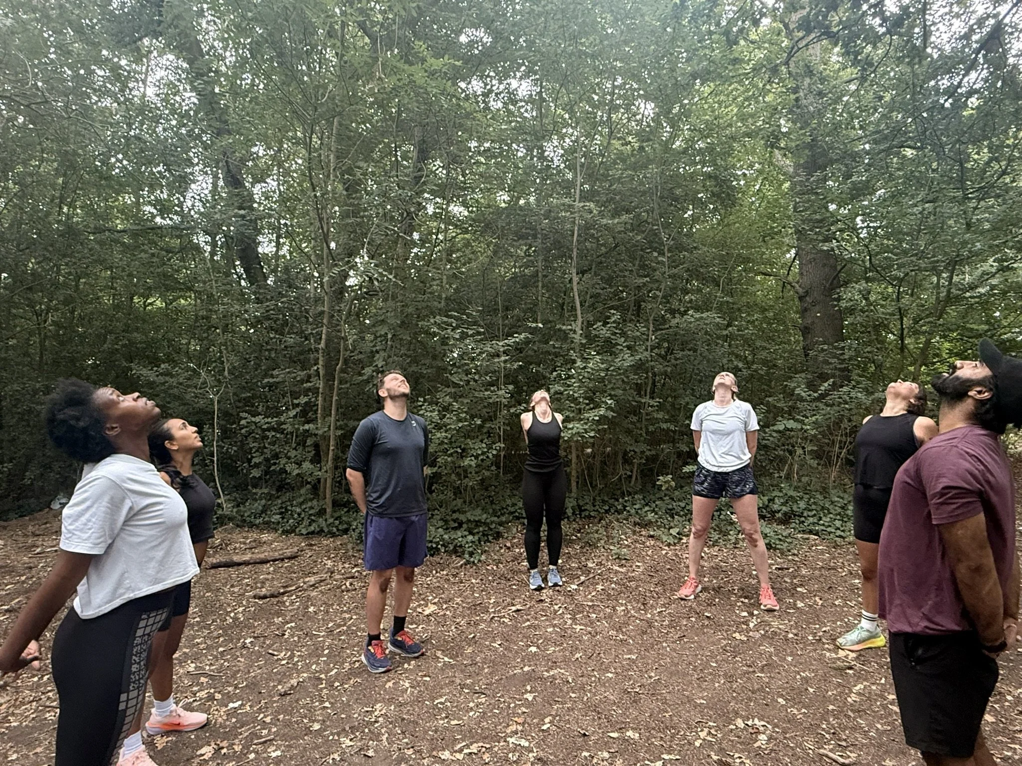 picture during a wild LDN outdoor fitness group class in Hampstead Heath, London where the group are cooling down and performing light stretches in a beautiful part of the heath secluded by trees