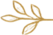 Illustration of a branch with three leaves
