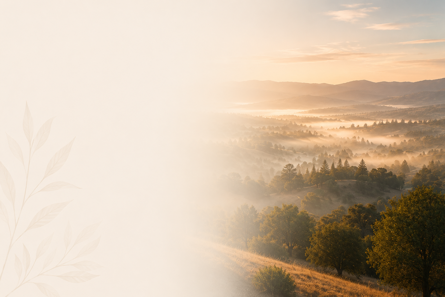 Early morning landscape of rolling hills with trees and mist, under a partly cloudy sky at sunrise.