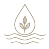 Minimalist logo of a leaf inside a droplet above water waves