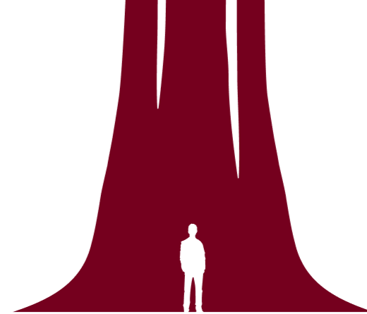 Silhouette of a person standing in front of a large, dark red curtain or backdrop.