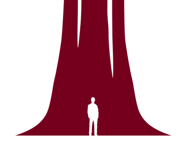 Silhouette of a person standing at the base of a large, creepy red tree with drooping branches.