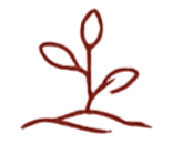 Simple line drawing of a sprouting plant with roots in soil.