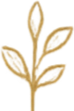A stylized illustration of a plant with five leaves, rendered in shades of brown