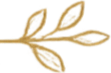 Decorative gold-colored leaf design.