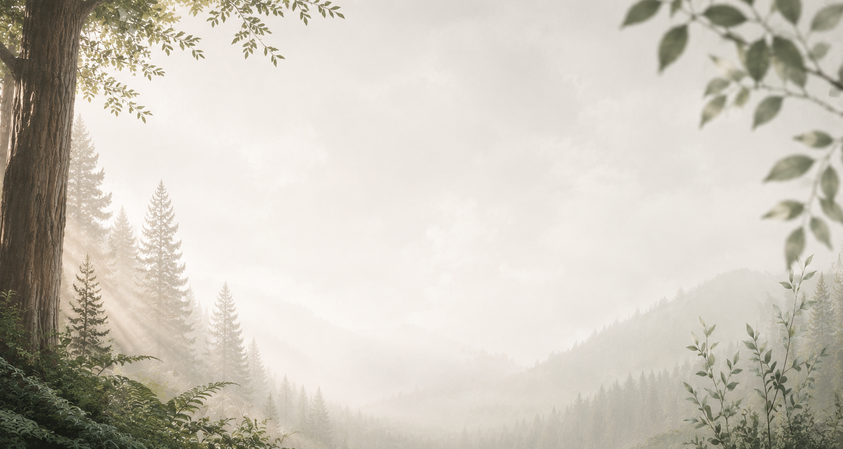 A serene forest landscape with tall pine trees, distant mountains, and soft sunlight filtering through the fog and branches.