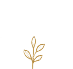 A small, illustrated plant with a few leaves on its stem.
