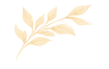 A beige decorative eucalyptus branch with multiple leaves.