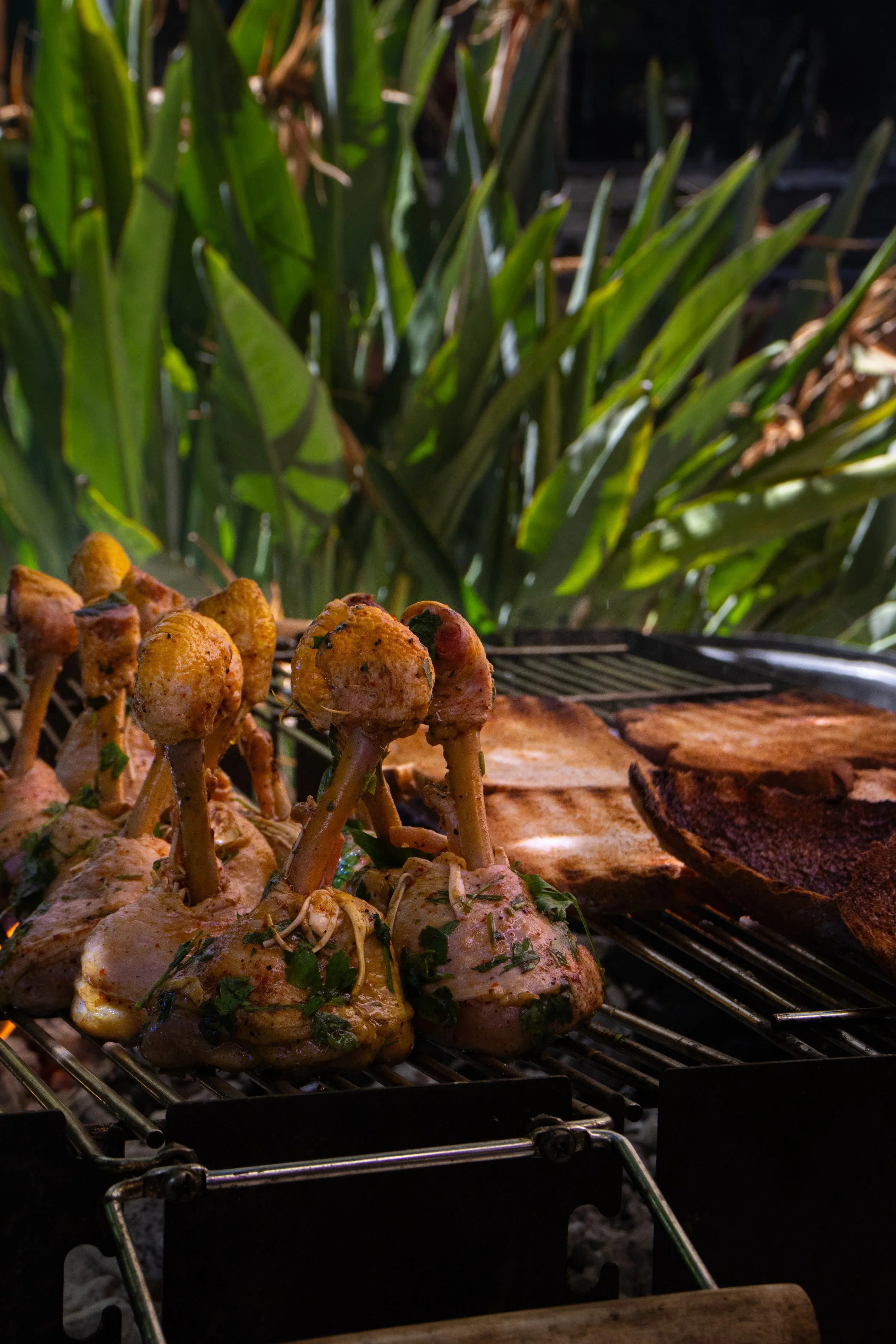 Carne asada al carbón con pollo y verduras en la parrilla
