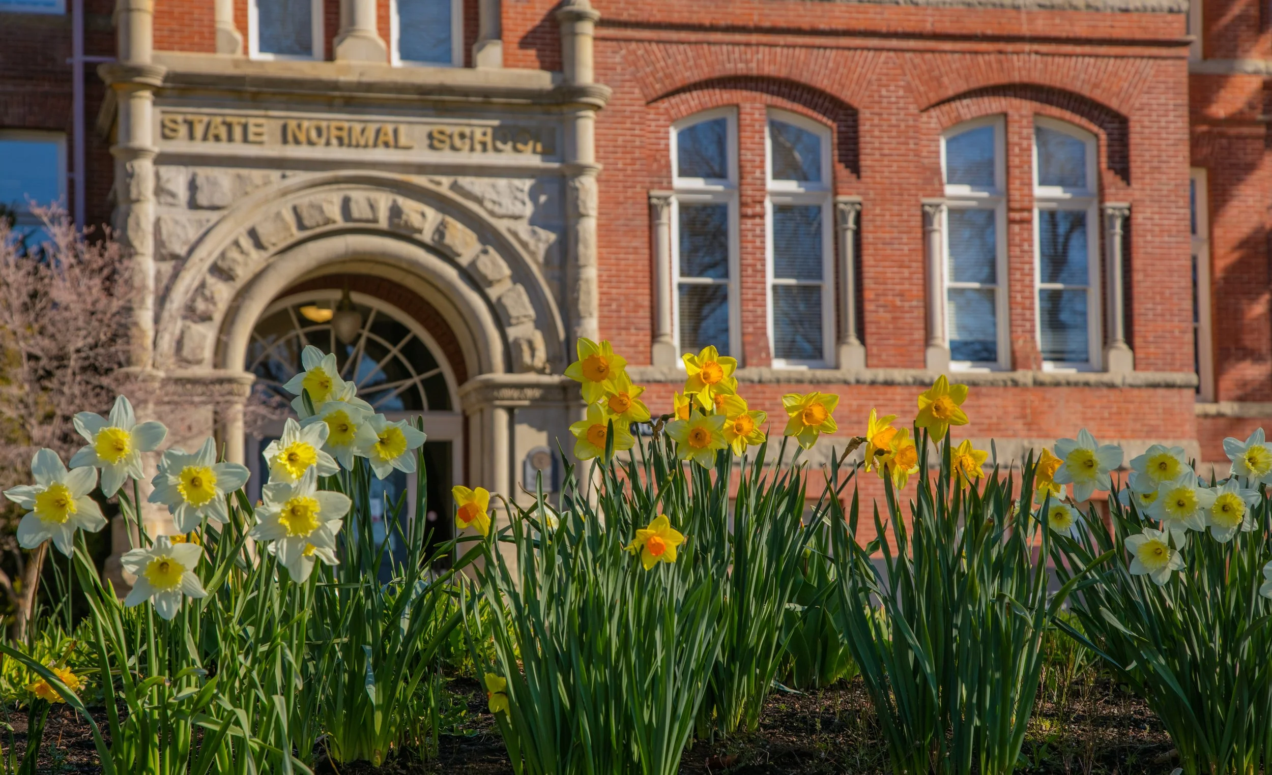 Photo of Daffodils in front of a building on Central Washington University's Campus. Credit: CWU Flickr.