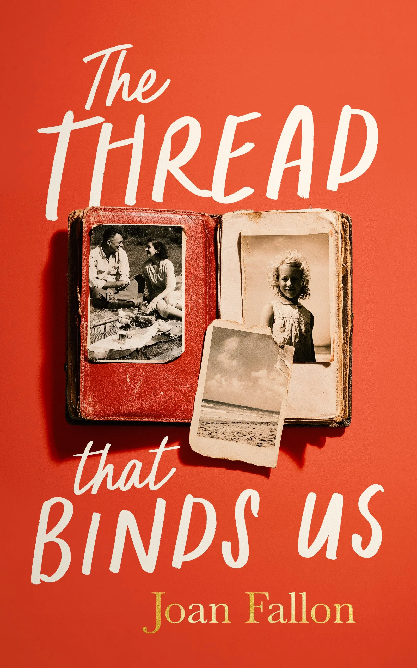 Book cover about family memories and secrets