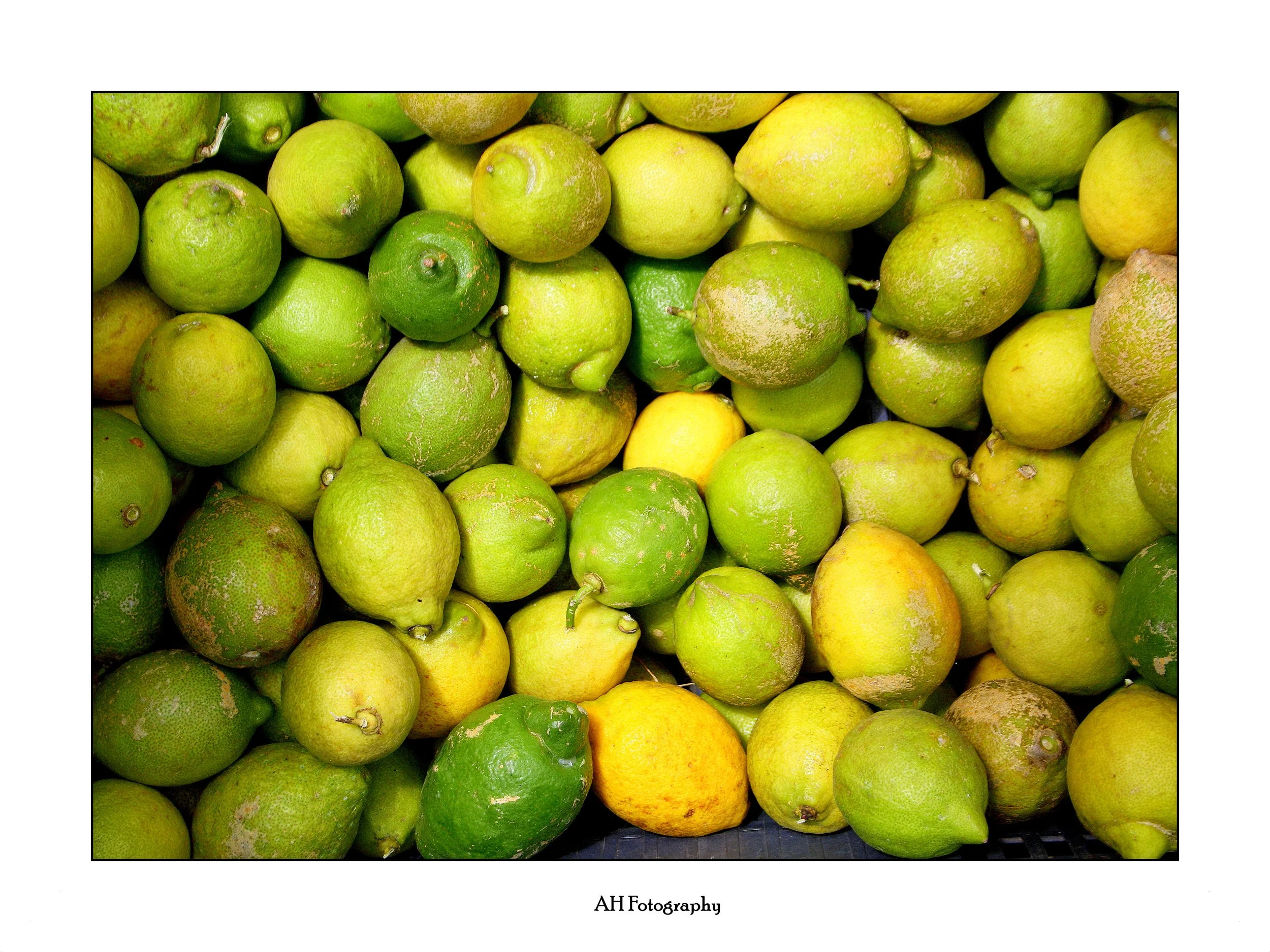 MUSLIM SPAIN AND ITS INFLUENCE ON THE MEDITERRANEAN DIET