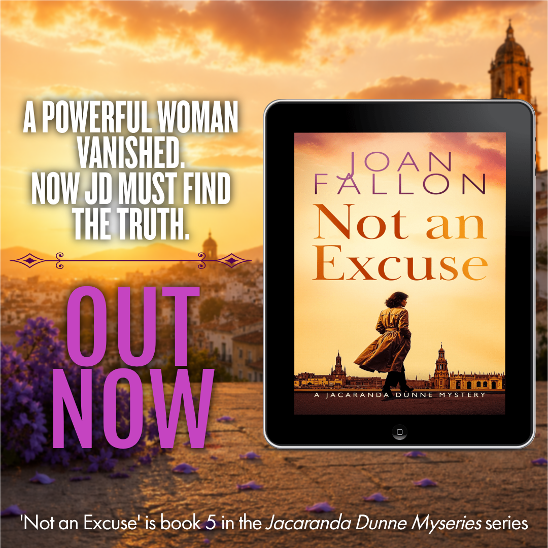 Book Cover of Not an excuse by Joan Fallon