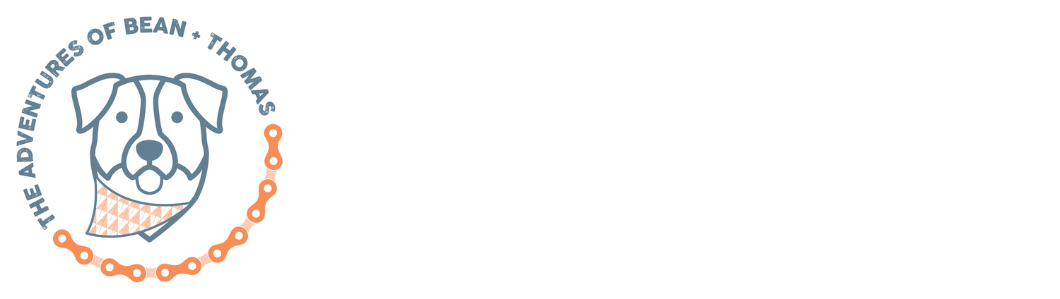 The Adventures of Bean and Thomas
