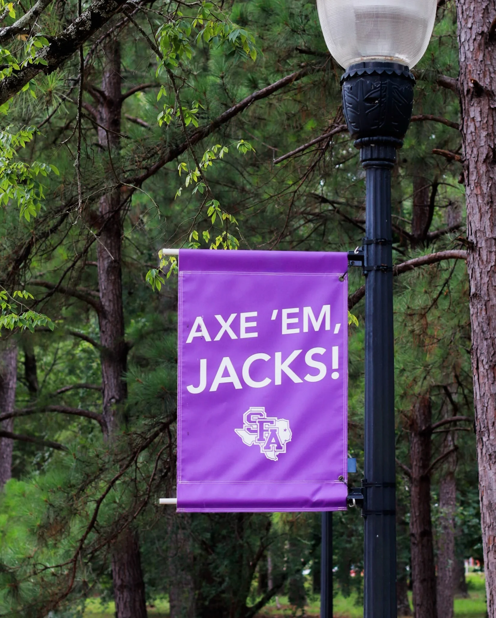 SFA parents, whether you&rsquo;re in town for Orientation, move-in, Family Weekend, or graduation, your days will be busy. Your evenings don&rsquo;t have to be. Unwind at the Hardeman House after a full day on campus. We&rsquo;d love to host you whil