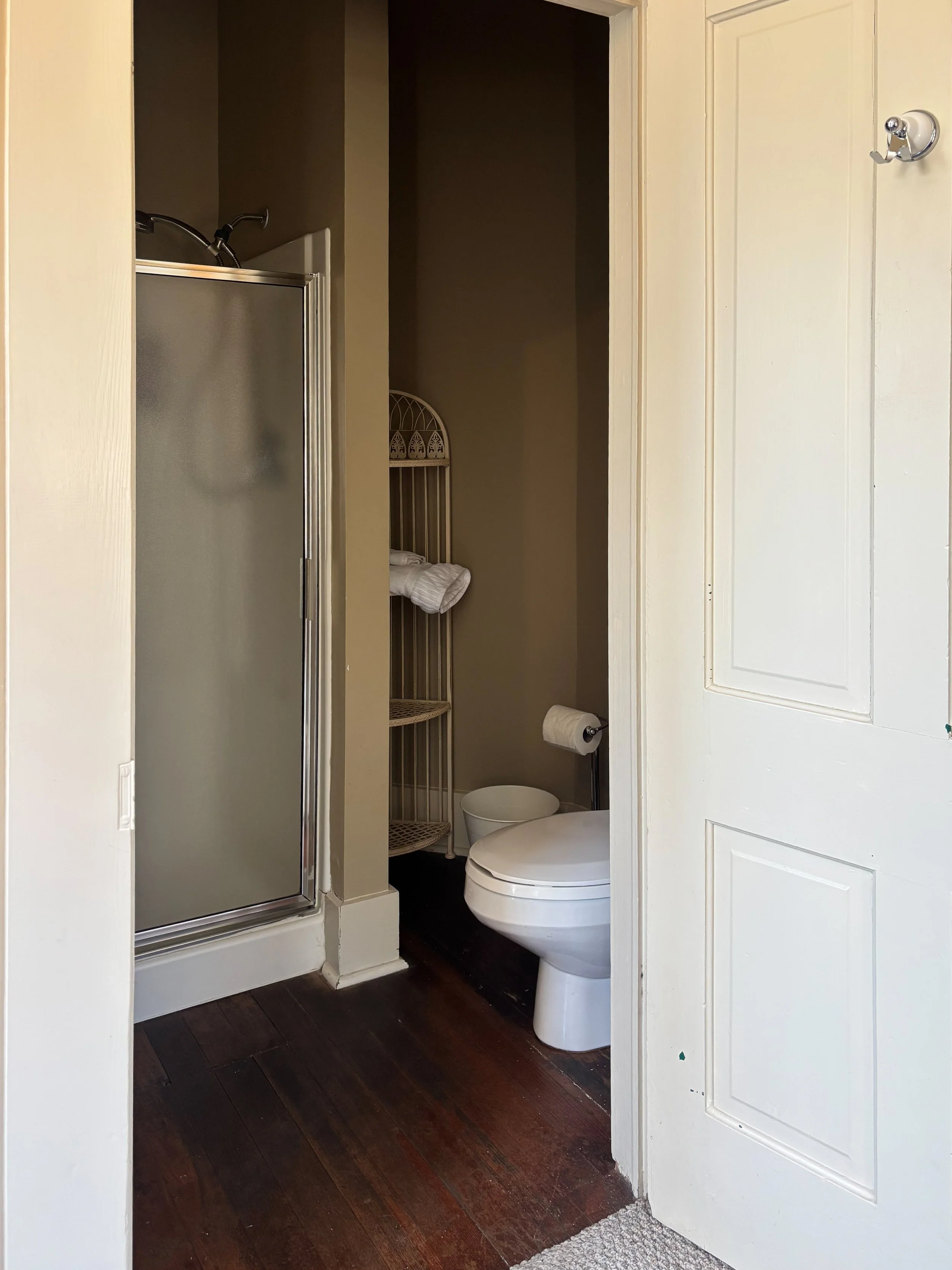 A small bathroom with a shower stall on the left, a toilet in the center, and a white wooden door partially open on the right. The shower has a frosted glass door, and a shower head is visible inside. There is a small shelving unit in the corner with