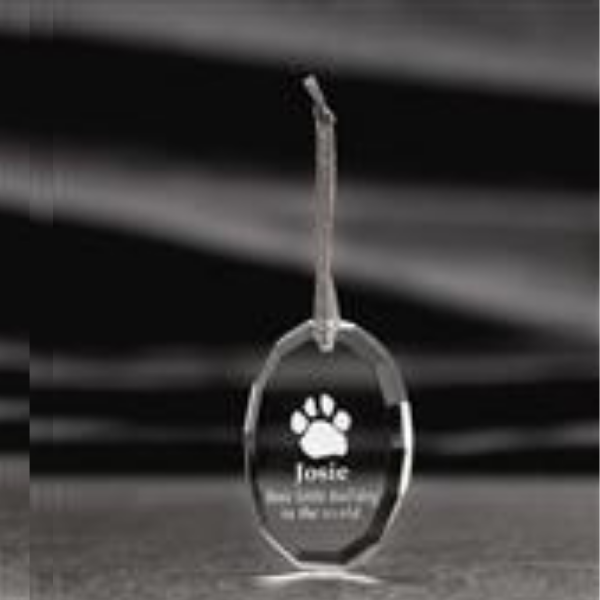 Pet tag with paw print and the name Jessie engraved on it.