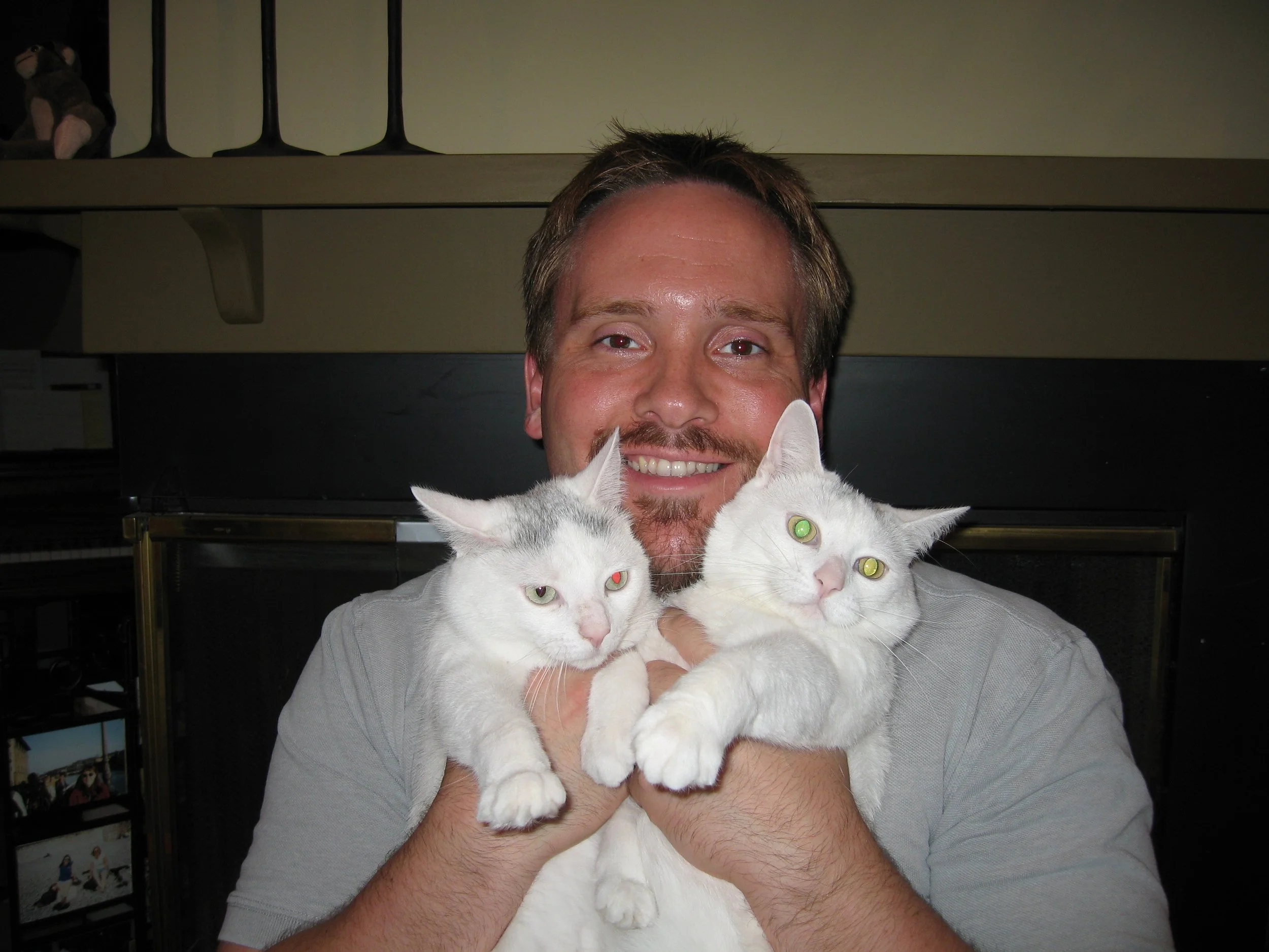 A smiling man with short brown hair holding two white cats with green eyes in front of a bookshelf.