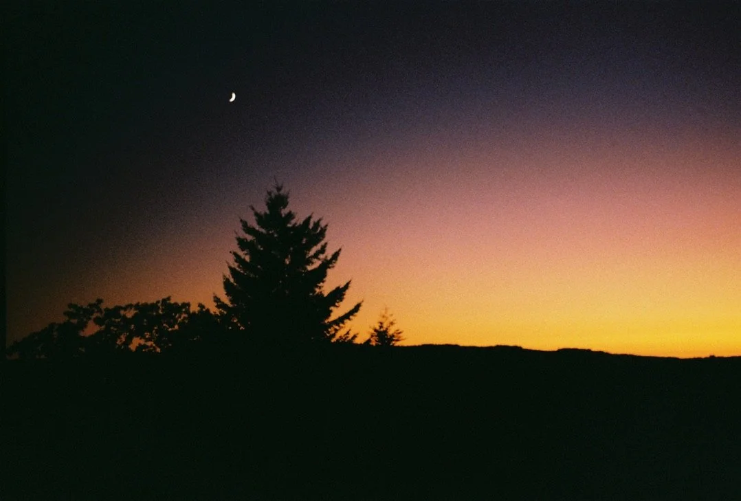 25DDD15E-B8F4-4880-AE60-3E8957030FCB_1_105_c.jpeg