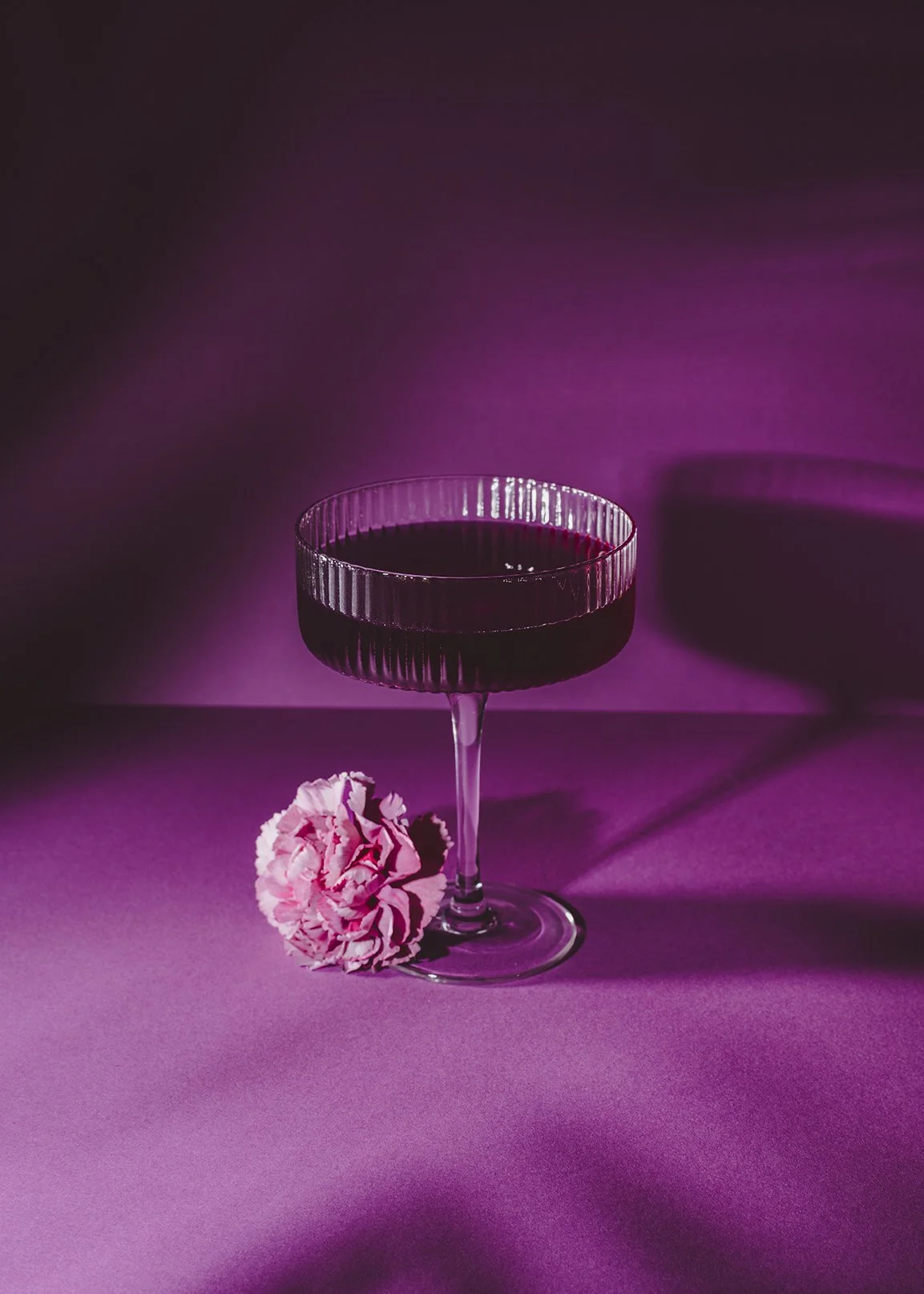 lavender-daisy.jpg