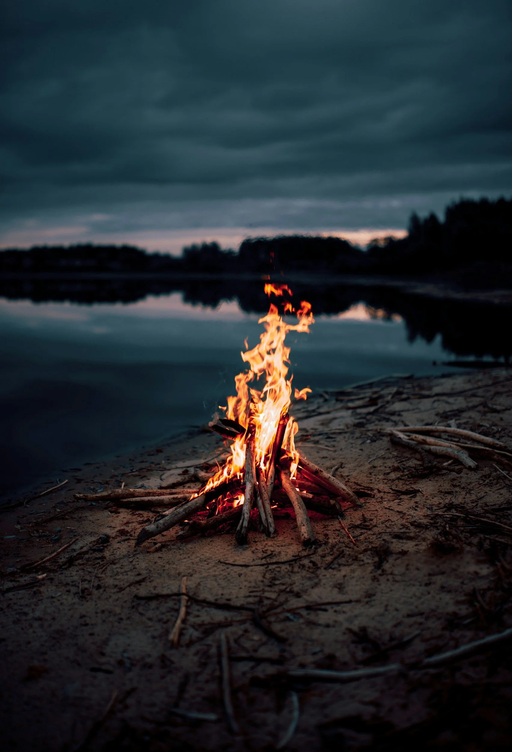 Fire burning on a sandy beach near a calm body of water with a cloudy, dark sky overhead, and trees in the distance.