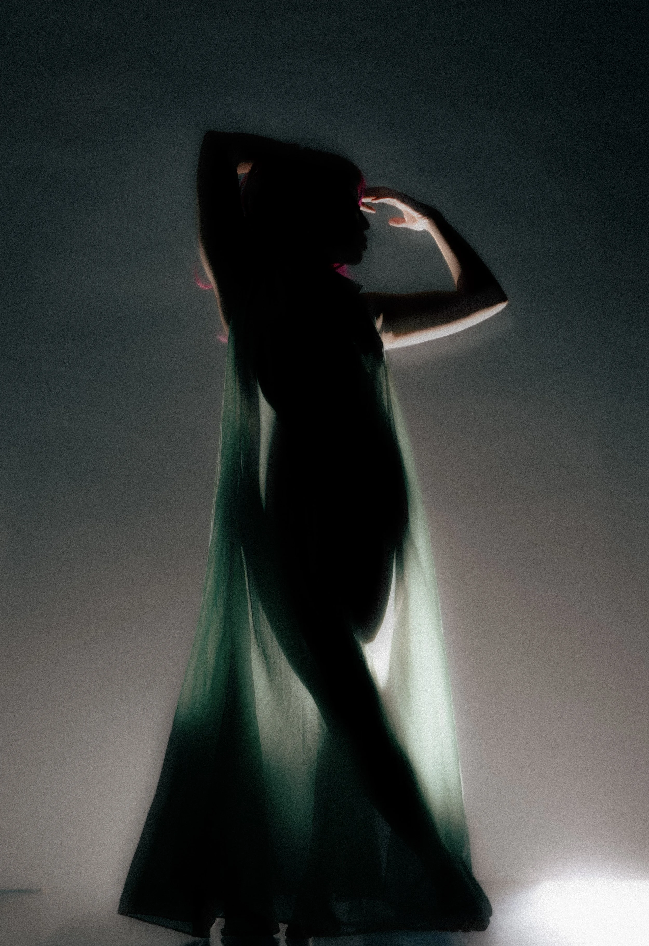 22-Cyn_Light_Dec_83506-Edit.jpg
