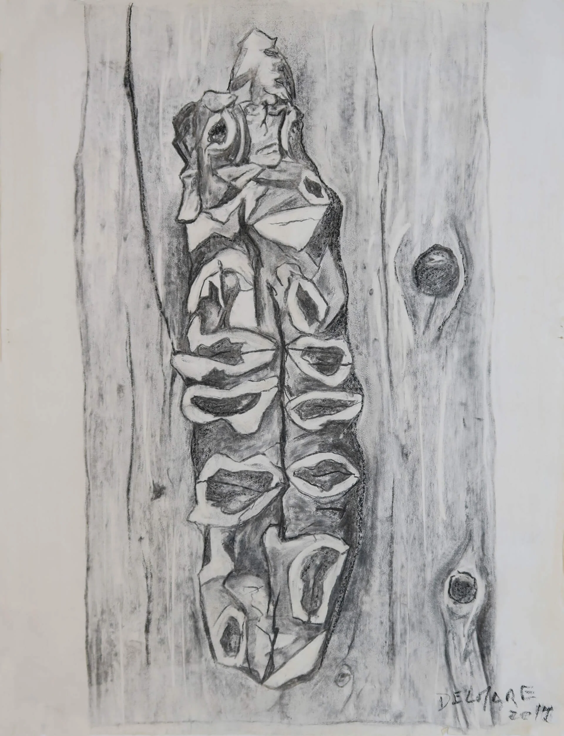 Écorce, 2019. Fusain sur papier, 65 × 50 cm.