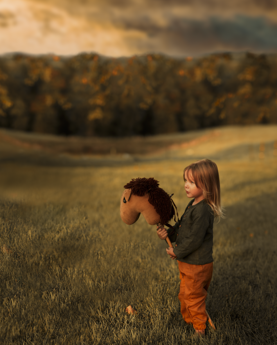 A young girl holding a toy horse on a stick in a grassy field, with a blurred background of trees and hills.