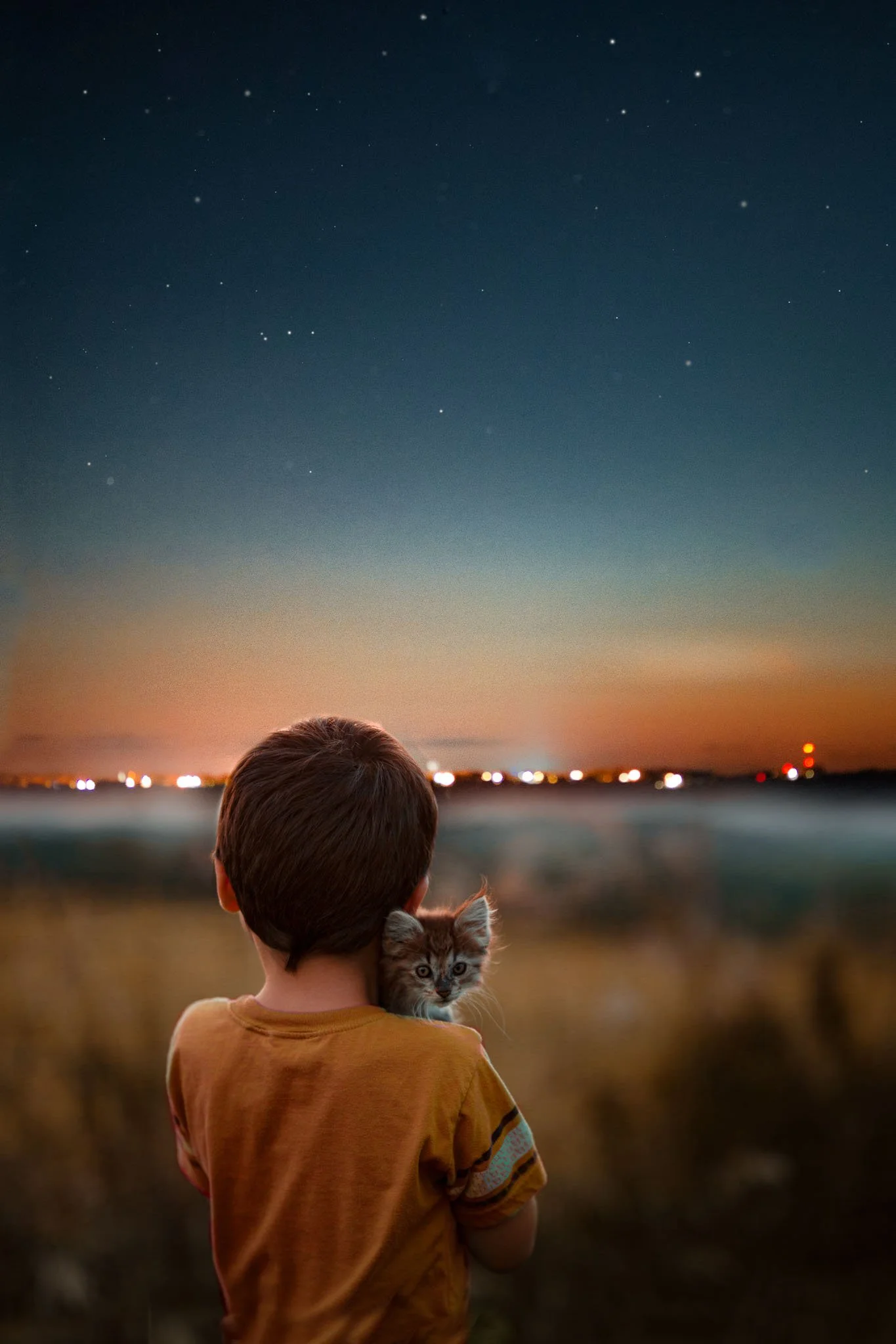 A boy viewed from the back holds a small tabby kitten with Striped fur against a sunset or dusk sky with stars beginning to appear, and a distant water body with blurred city lights.