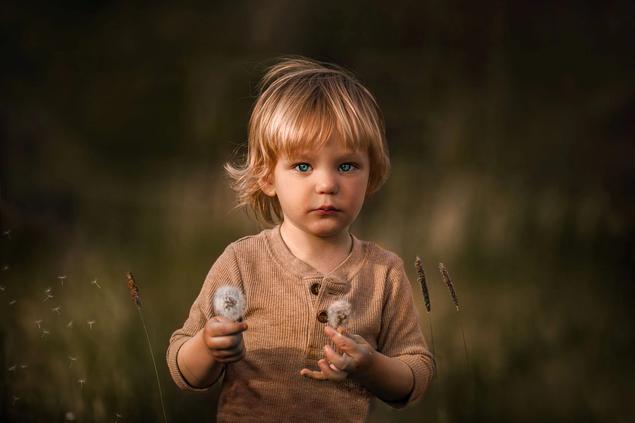 A young boy with blonde hair and blue eyes standing outdoors holding dandelions in both hands, with a blurred natural background.