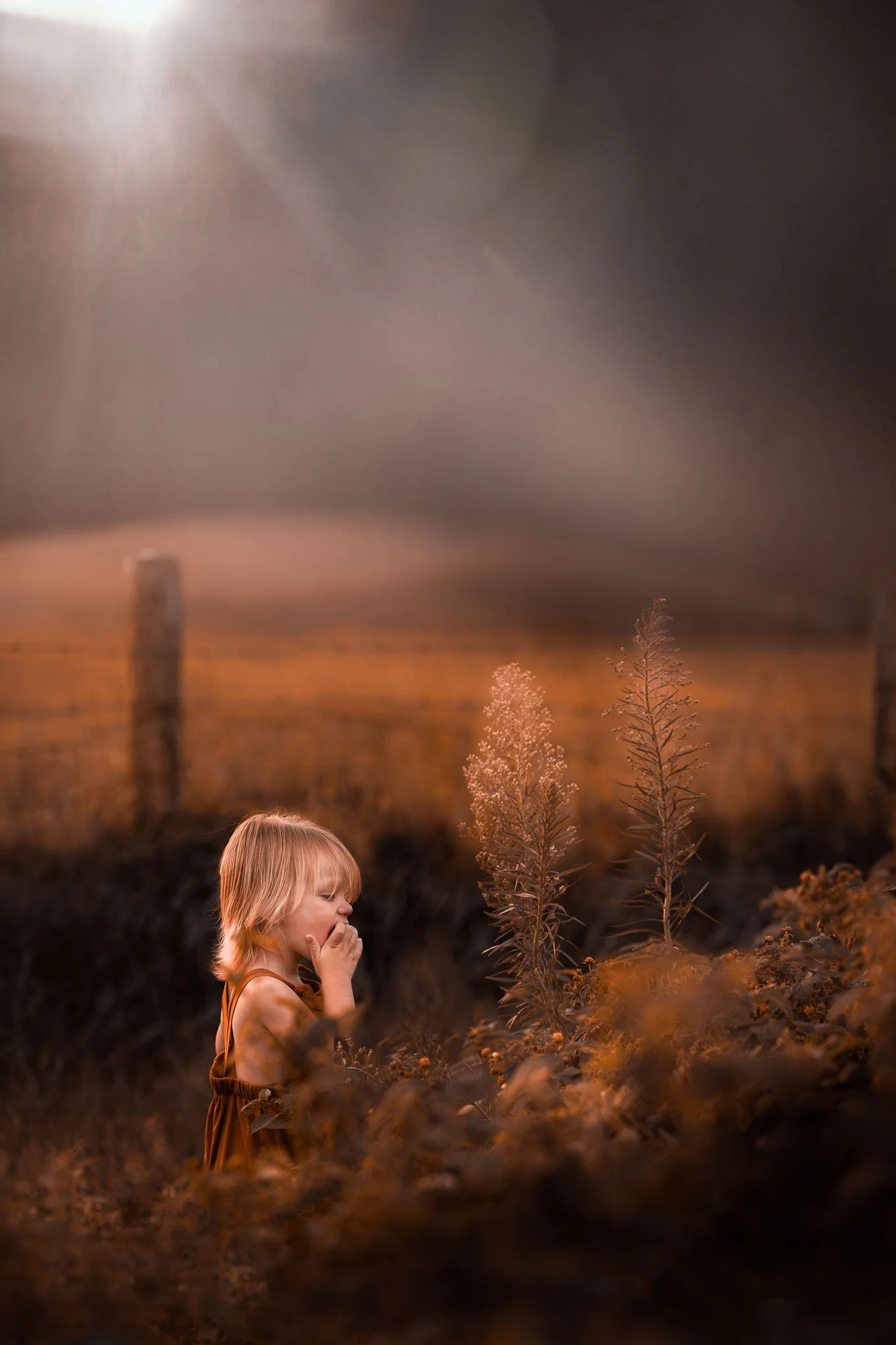 A young girl with blonde hair standing in a field of tall plants during sunset, with her hand near her mouth.