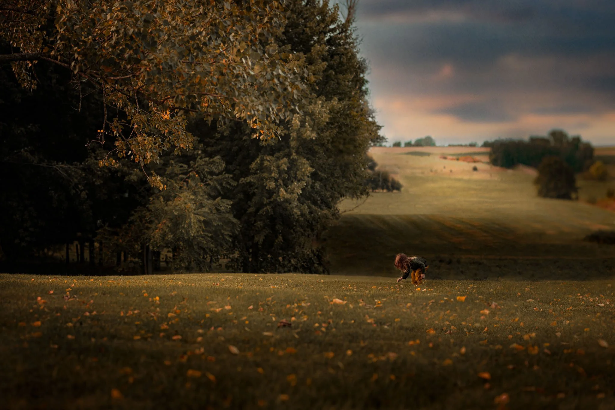 A girl is crouched on grass with fallen leaves, near a large tree with dense foliage. The background displays rolling fields under a cloudy sky at dusk.