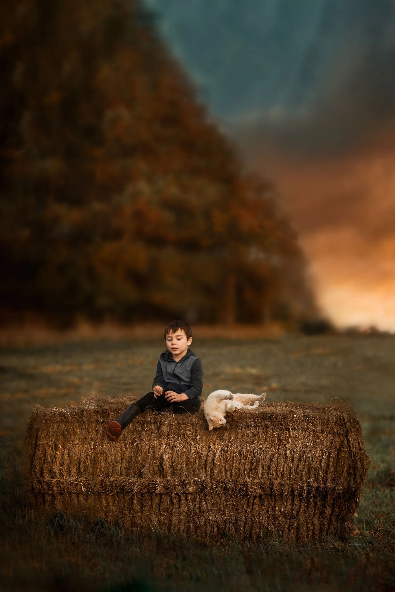 A young boy in a dark hoodie sits on top of a large hay bale, holding a small object in his hands, with a white puppy lying beside him, set against a backdrop of a desolate field and a smoky, ominous sky.