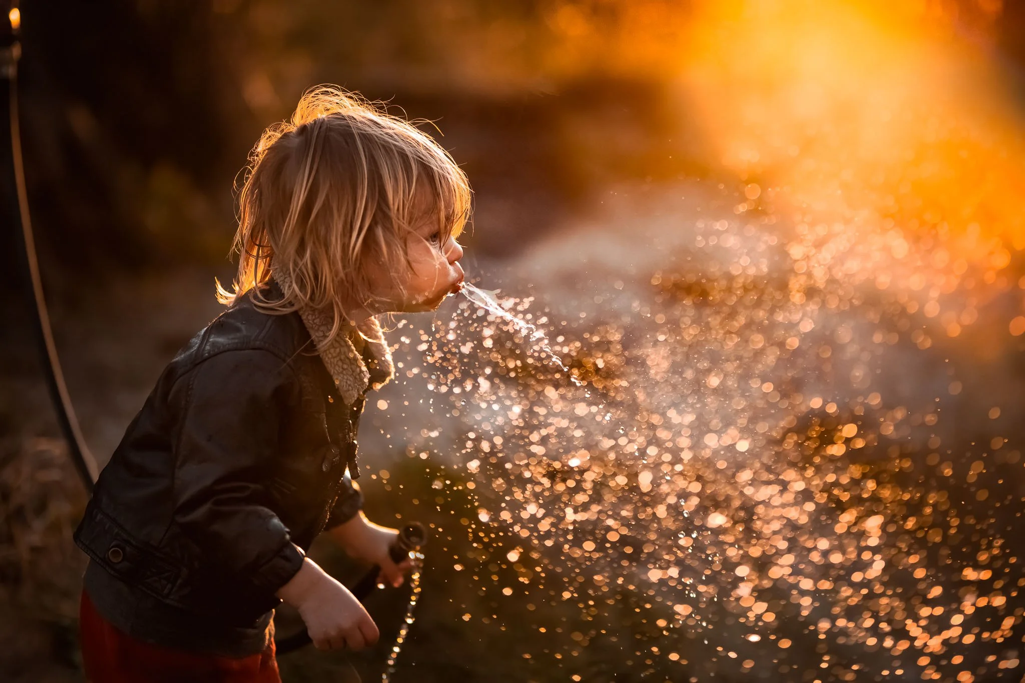 A child with blond hair drinking water from a fountain of shimmering water or light in warm, golden sunset.