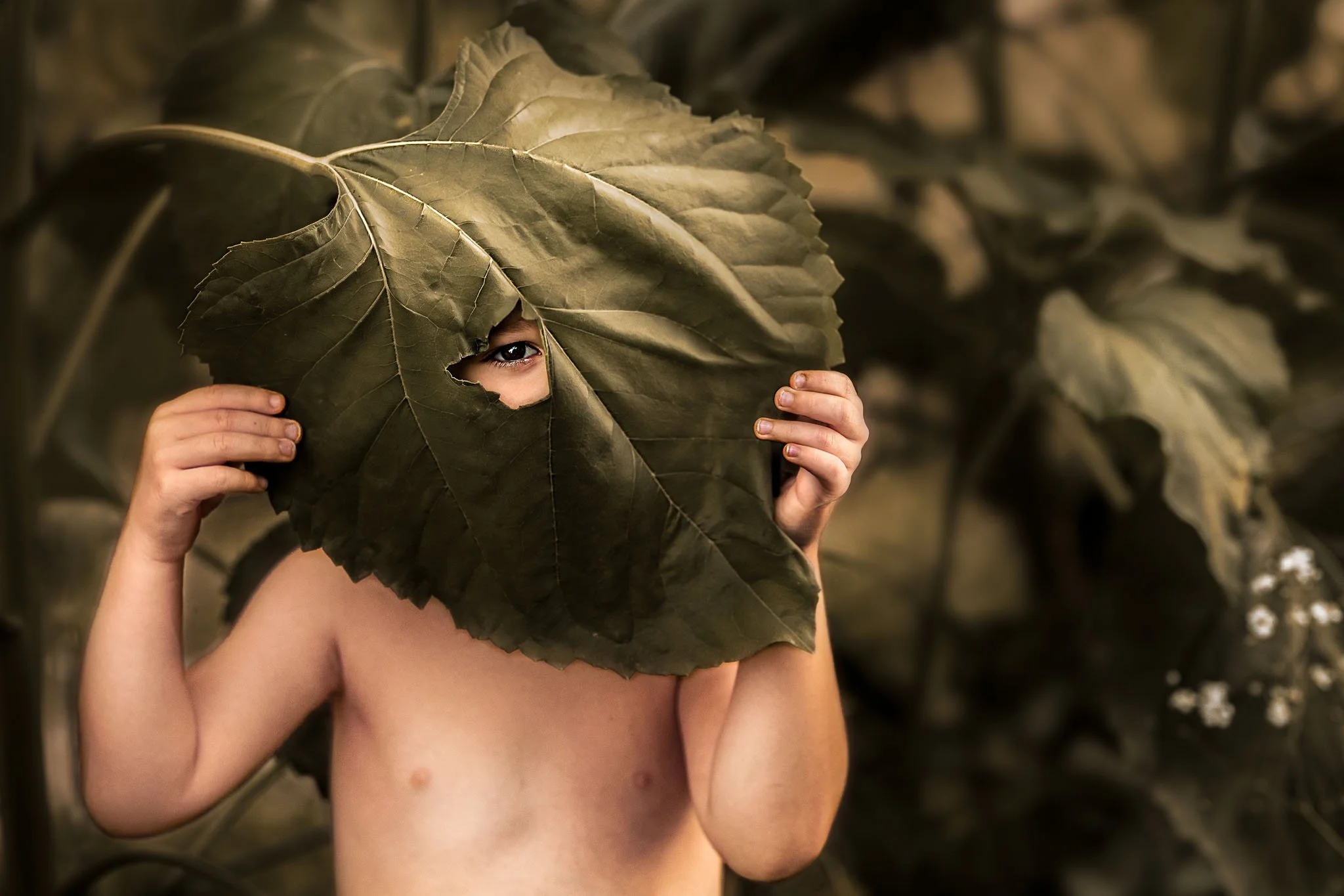 A child holding a large leaf over their face, revealing only one eye, in a natural outdoor setting.