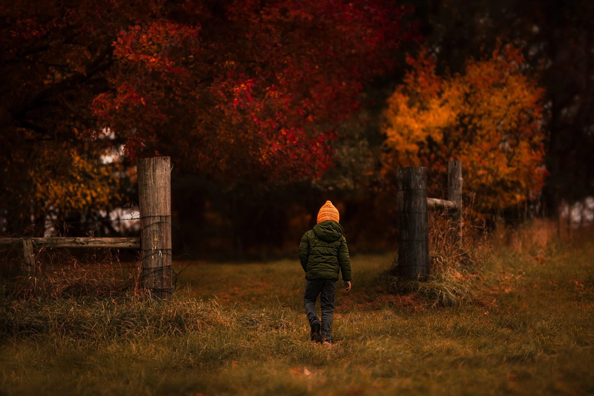 A person wearing a green jacket and orange knit hat walking on a grassy path at sunset, with colorful autumn trees and wooden fence posts in the background.