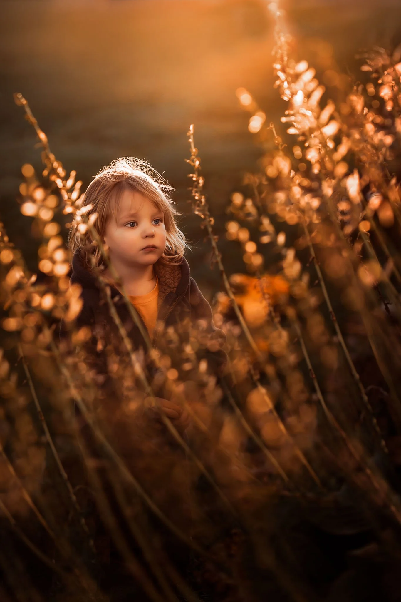 A young child with shoulder-length blond hair and blue eyes standing among tall, brown, dried plants in a field during sunset.