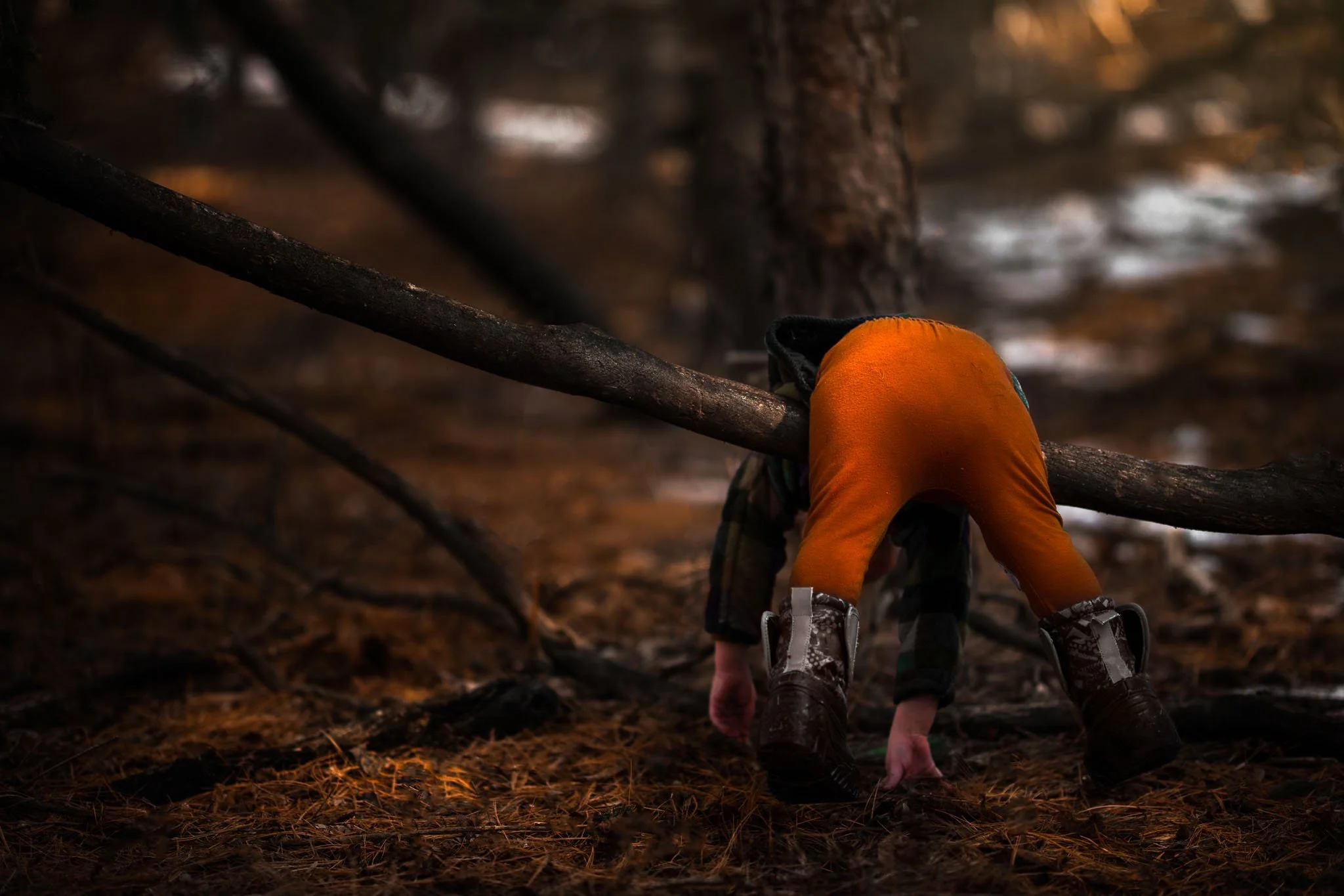 A person in an orange jacket and black shoes crawling on the ground in a forest with trees, fallen leaves, and branches. The person appears to be outdoors during autumn or fall.